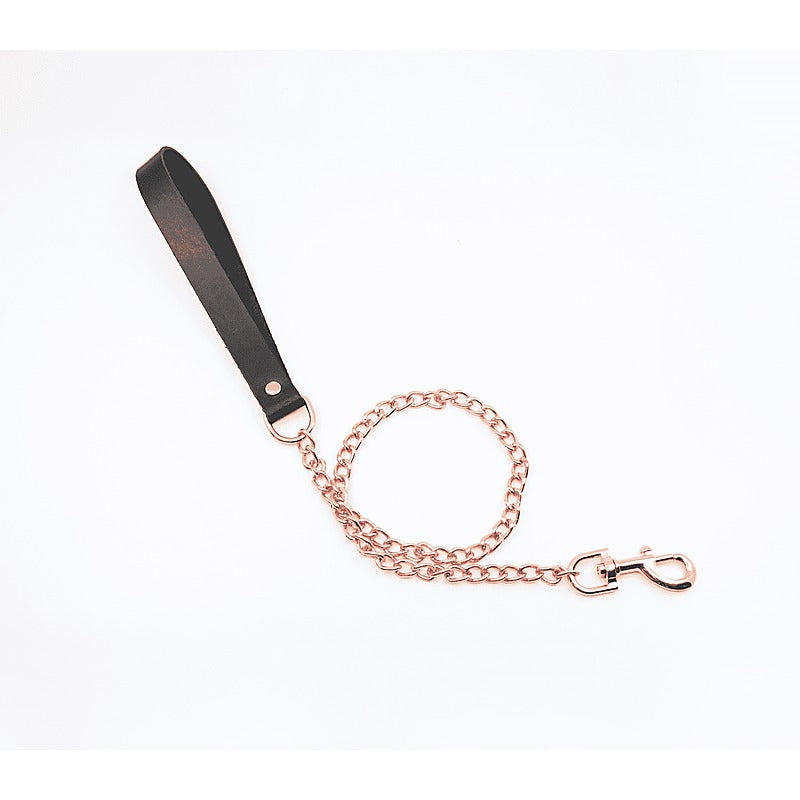 BDSM Chain Lead With Coloured Hardware by Love In Leather - Collars and Leads