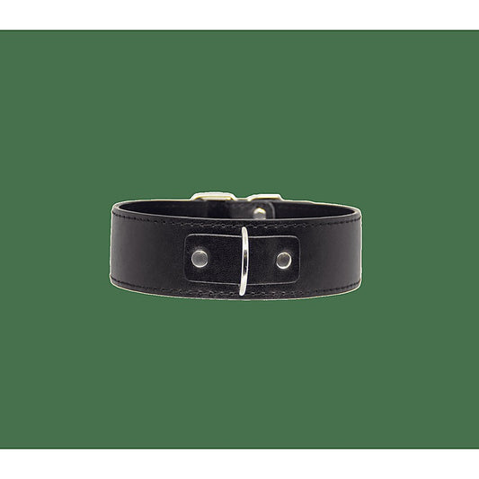 BDSM Play Unlined PU Collar and Lead by Berlin Baby - Collars and Leads