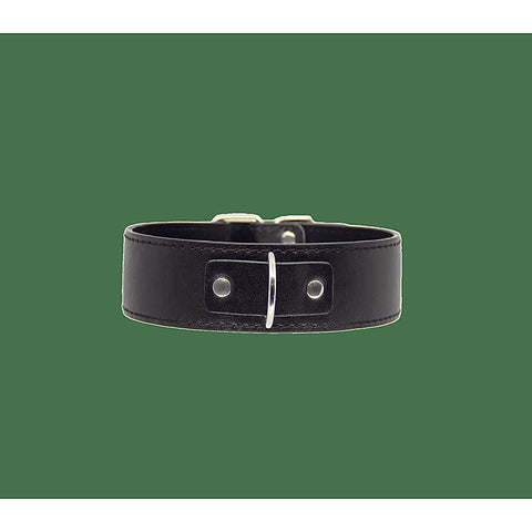 BDSM Play Unlined PU Collar and Lead by Berlin Baby - Collars and Leads