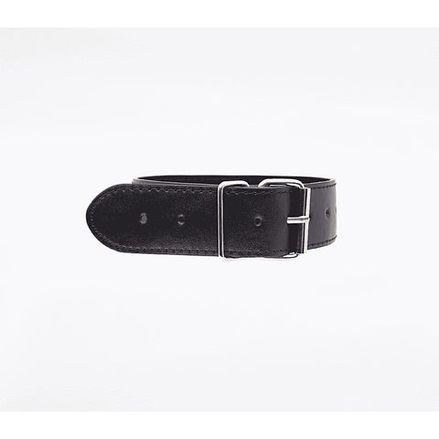 BDSM Play Unlined PU Collar and Lead by Berlin Baby - Collars and Leads