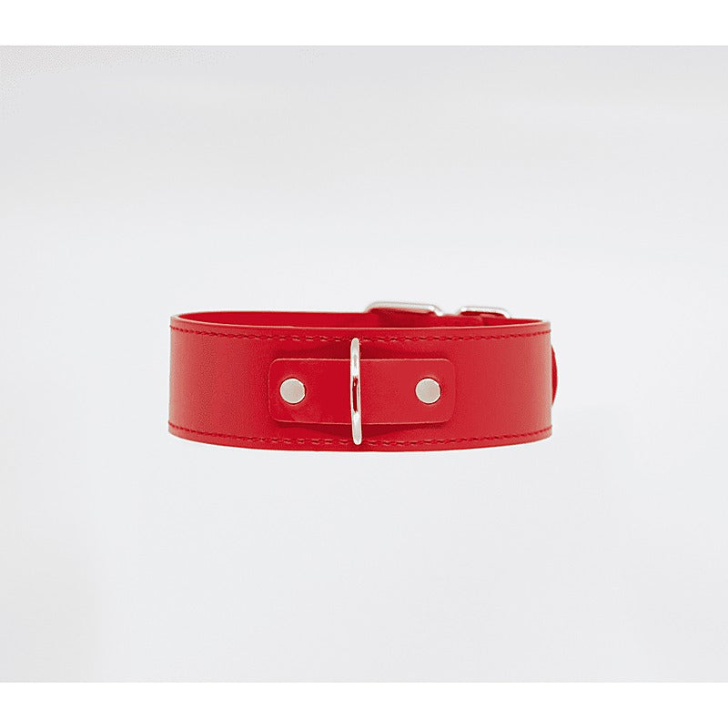 BDSM Play Unlined PU Collar and Lead by Berlin Baby - Collars and Leads