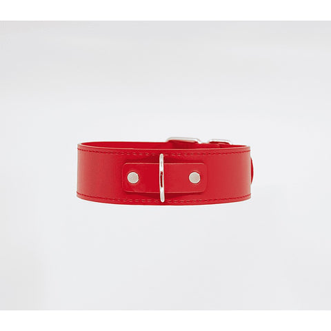 BDSM Play Unlined PU Collar and Lead by Berlin Baby - Collars and Leads