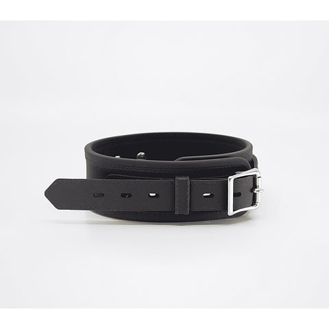 Premium Silicone Collar & Lead Set by Love In Leather - Collars and Leads