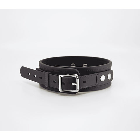 Premium Silicone Collar & Lead Set by Love In Leather - Collars and Leads