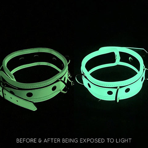 Glow in the Dark Collar & Lead Set by Love In Leather - Collars and Leads