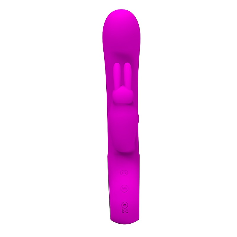 Pretty Love Webb Rechargeable Rabbit Vibrator by Baile - Rabbit Vibrators