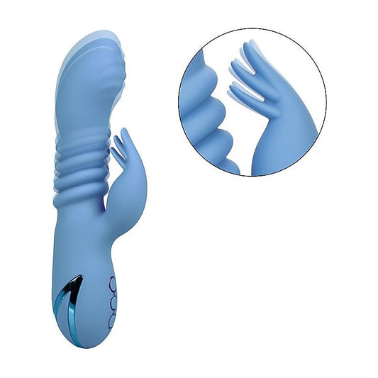 California Dreaming Santa Cruz Coaster Vibrator - Rabbit Vibrators