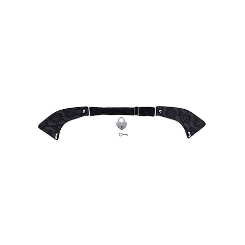 Heartbound Lace Day Collar by Sportsheets - Collars and Leads
