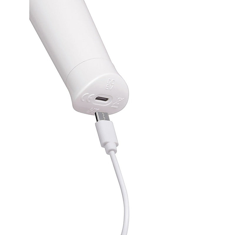 Le Wand Classique Petite Cordless Wand Vibrator with USB C Charging - Body Wands