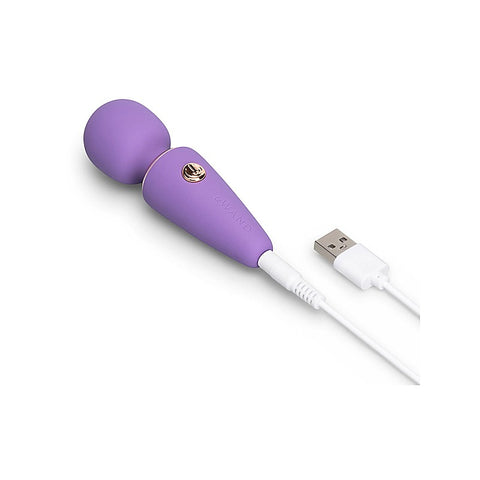 Le Wand Mini Micro Multi Functions Wand Massager Compact Travel Vibrator - Body Wands