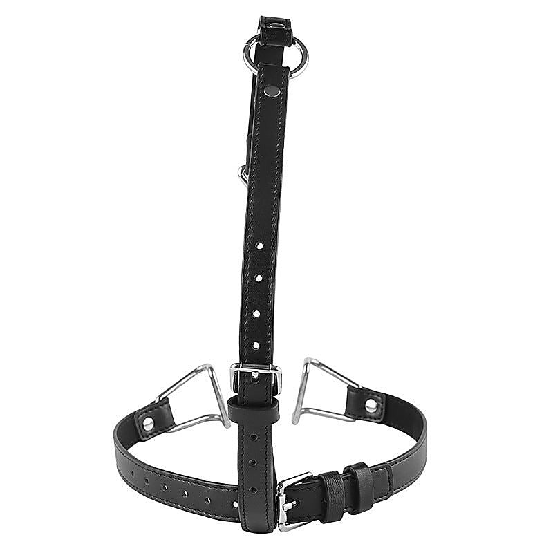 Hook Claw Mouth Spreader & Nose Hook by BDStyle - Bondage Gags and Bits