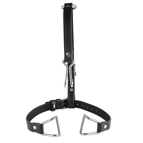 Hook Claw Mouth Spreader & Nose Hook by BDStyle - Bondage Gags and Bits