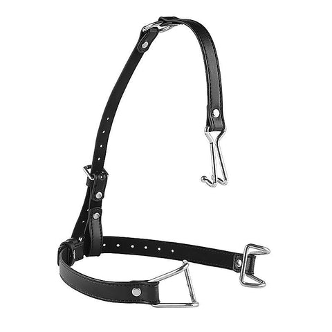 Hook Claw Mouth Spreader & Nose Hook by BDStyle - Bondage Gags and Bits