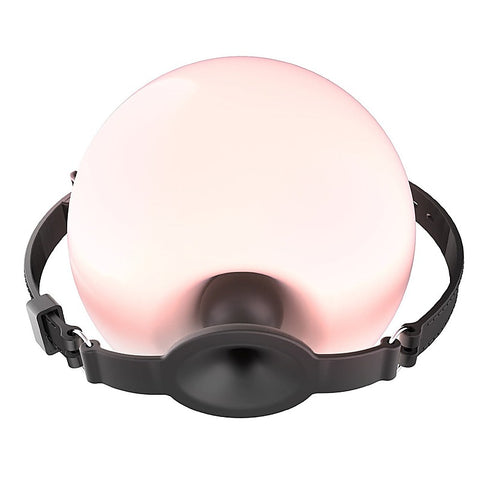 Silicone Harness Hollow Bondage Ball Gag by BDStyle - Bondage Gags and Bits