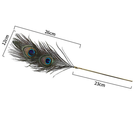 Premium Peacock Feather Tickler by BDStyle - Ticklers