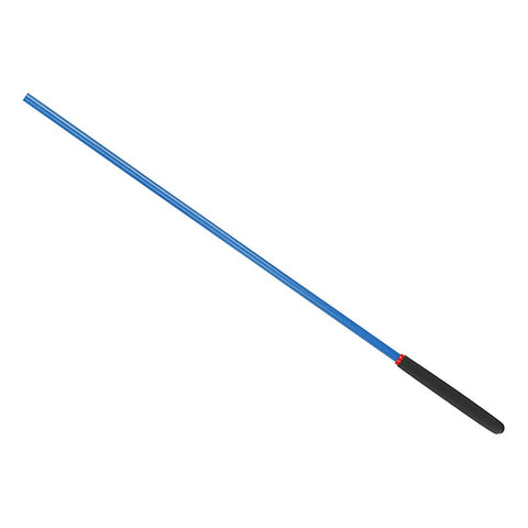 Frosted Handle Fiber BDSM Impact Cane by BDStyle - Whips And Crops