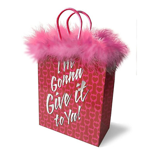 Im Gonna Give it To Ya! Gift Bag by Little Genie - Bachelorette and Bucks