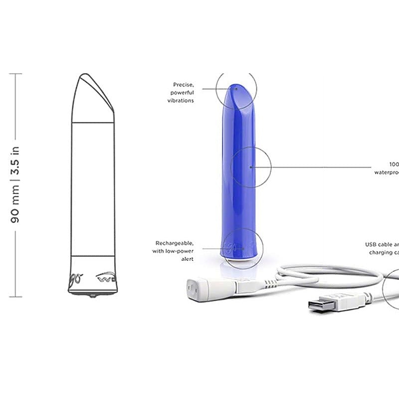 We-Vibe Anniversary Collection by Love Honey - Sex Kits