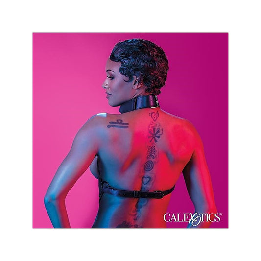 Euphoria Collection Multi Chain Fetish Collar Harness - Collars and Leads