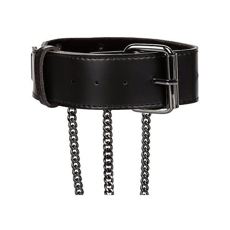 Multi Chain BDSM Collar Harness by California Exotics - Collars and Leads
