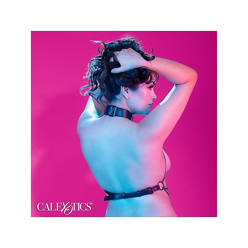 Multi Chain BDSM Collar Harness by California Exotics - Collars and Leads