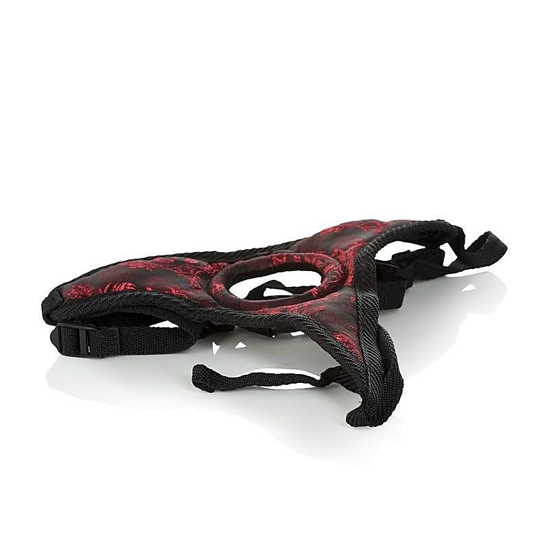 Scandal Thong Harness by California Exotics - Strap On Sextoys