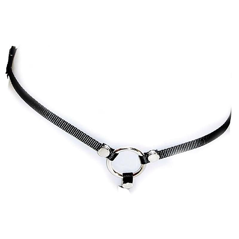 Bare As You Dare Strap-On by Sportsheets - Strap On Sextoys