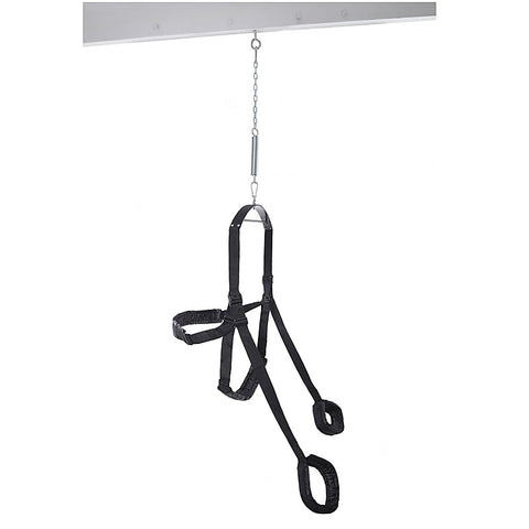 Fetish Fantasy Fully Adjustable Sex Swing - Love Eggs and Kegel Exercisers