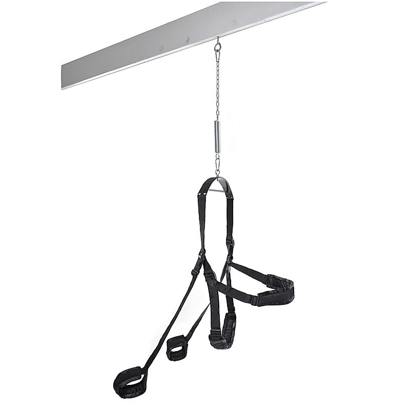 Fetish Fantasy Fully Adjustable Sex Swing - Love Eggs and Kegel Exercisers
