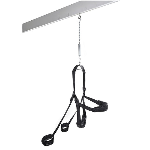 Fetish Fantasy Fully Adjustable Sex Swing - Love Eggs and Kegel Exercisers