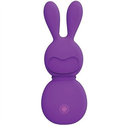 FemmeFunn Bunny Massager by VVOLE LLC - Rabbit Vibrators