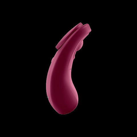 Sexy Secret App Connect Remote Control Panty Vibrator - Remote Control Vibrators