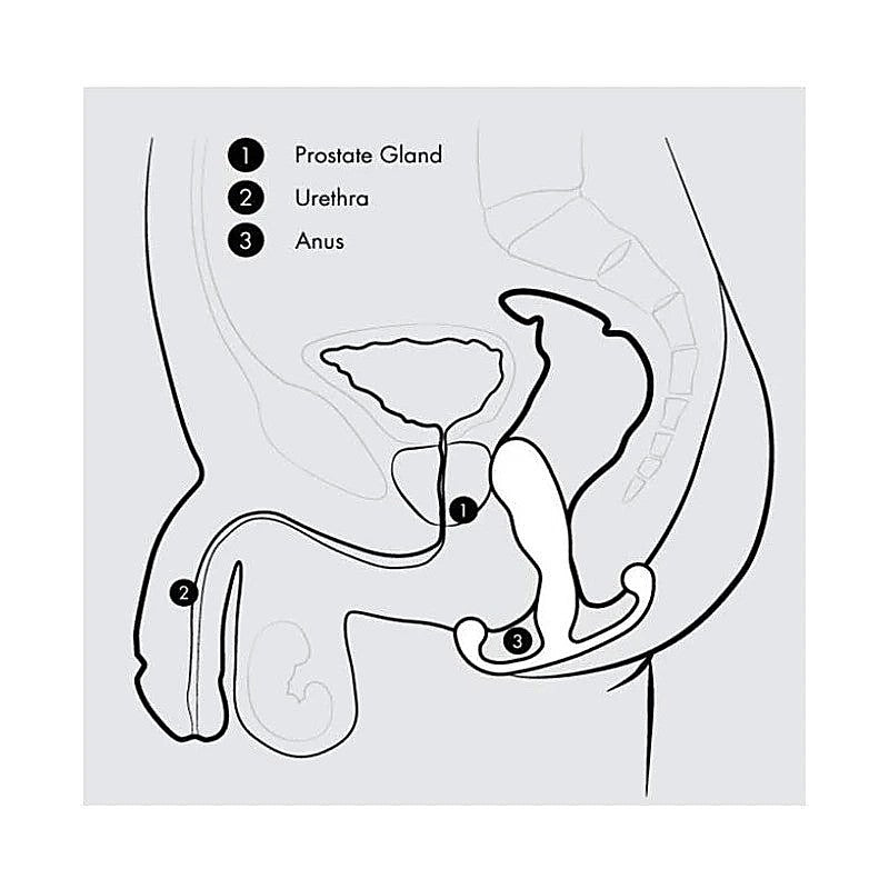 Aneros - Progasm Classic - Prostate Toys