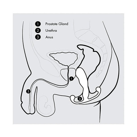 Aneros - Progasm Classic - Prostate Toys
