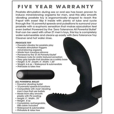 Zero Tolerance Eternal Prostate Massager by Evolved - Prostate Toys