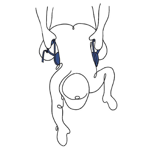 Pivot Deluxe Doggie Strap by Sportsheets - Sex Furniture