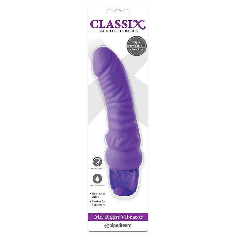 Pipedream Products Pipedream Classix Mr Right Realistic Dildo Vibrator - G-Spot Vibrators