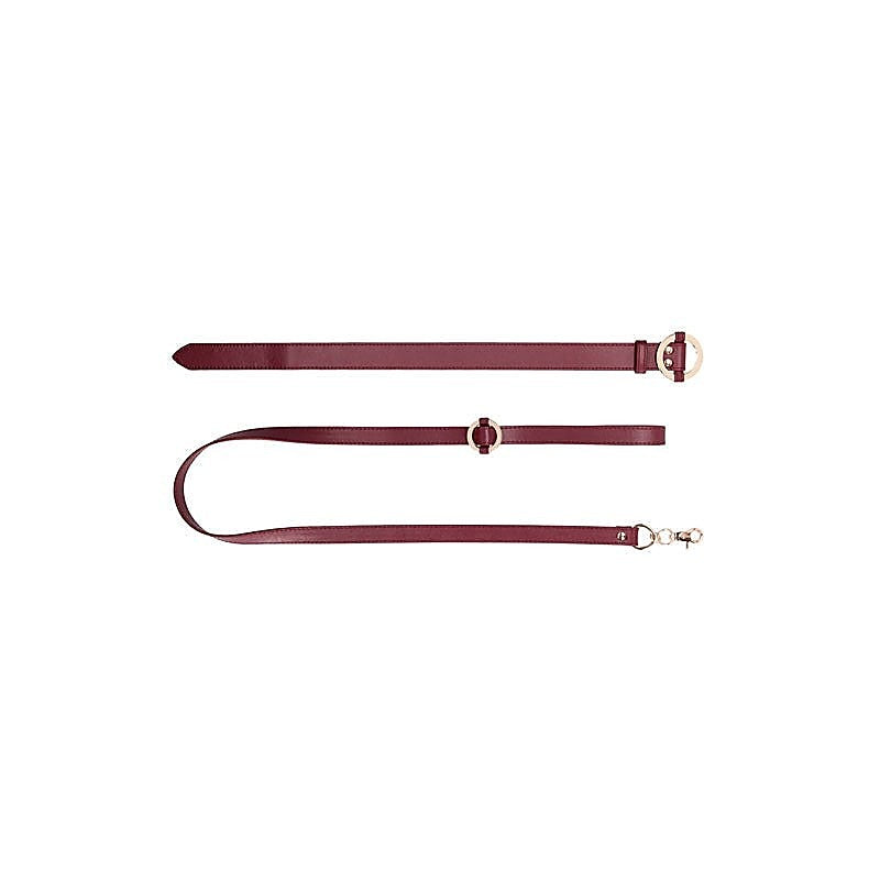 Halo Collar With Leash by Shots Toys - Collars and Leads