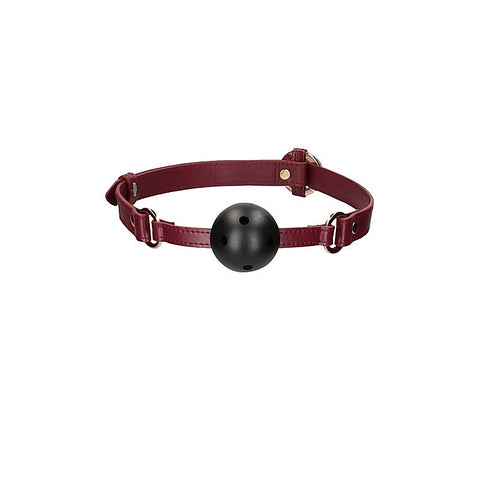 Halo Breathable Ball Gag by Shots Toys - Bondage Gags and Bits