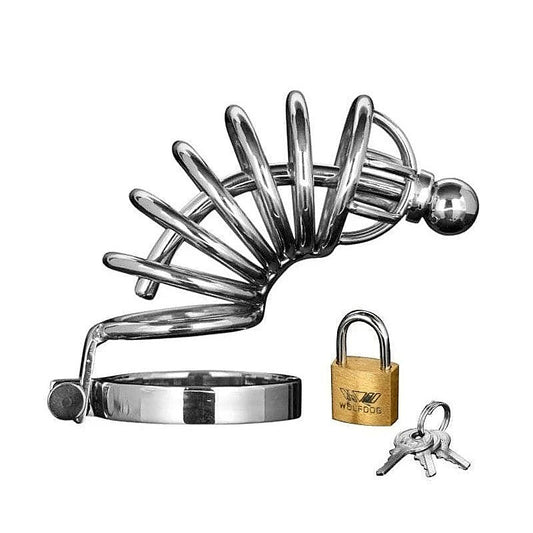 Asylum 6 Ring Locking Chastity Cage by XR Brands - Male Chastity