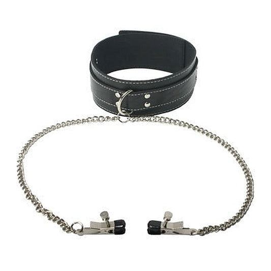 Coveted Collar and Clamp Union by XR Brands - Collars and Leads