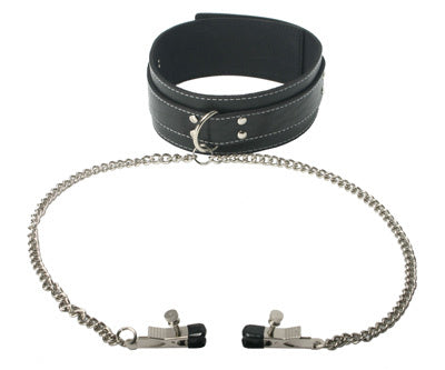 Coveted Collar And Clamp Union - - Collars and Leads