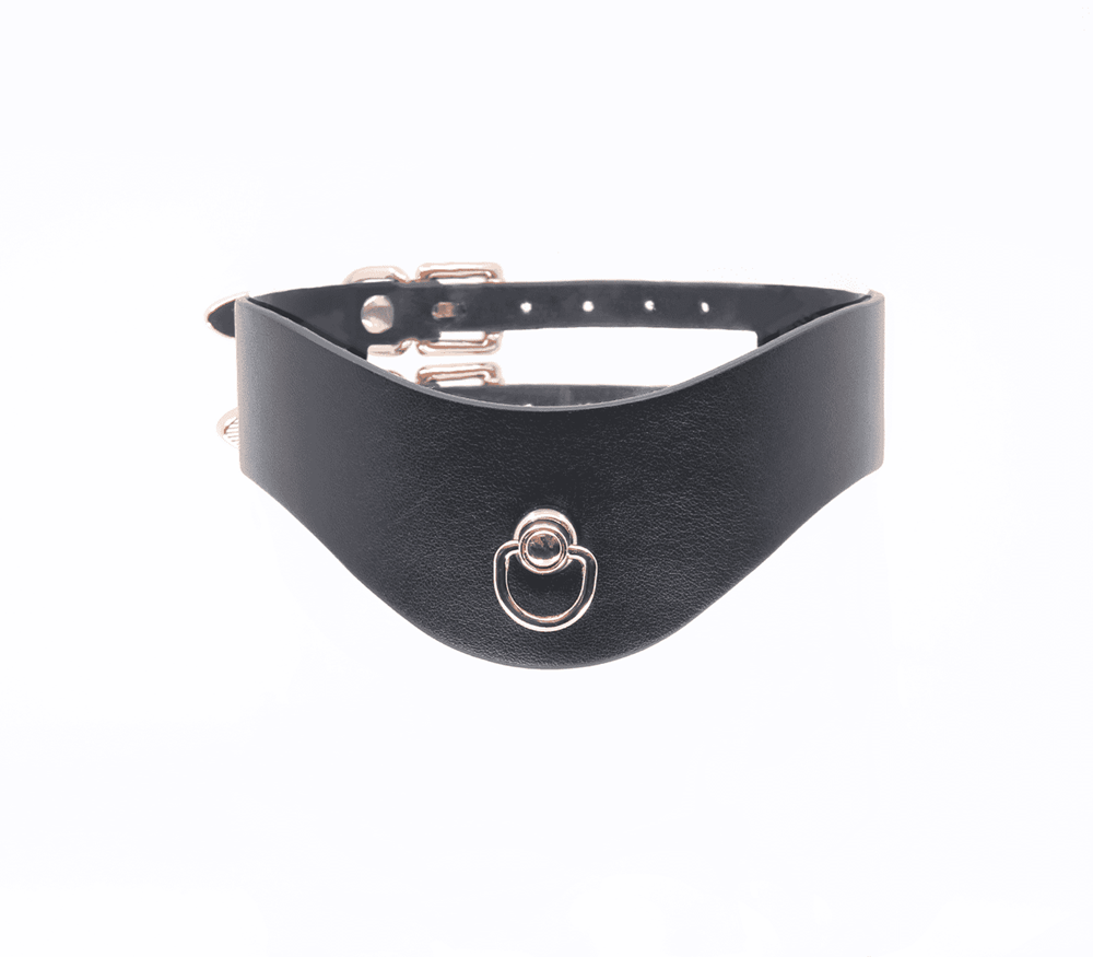 Love In Leather Double Strap Bondage Collar - - Collars and Leads