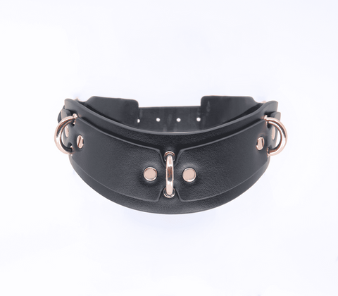 Love In Leather Posture BDSM Collar With Rings Premium Multi Ring Design - Collars and Leads